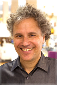 Victor R. Ambros, Ph.D.