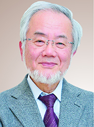 Yoshinori Ohsumi, Ph.D.